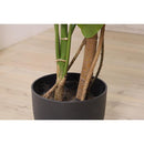 フェイクグリーン クワイズモ 観葉植物 インテリアグリーン リアル 鉢付き ベースつき おしゃれ 玄関 リビング オフィス 会社 カフェ レストラン 雑貨 装飾 【納期B】【azm-grn-16】