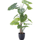 フェイクグリーン クワイズモ 観葉植物 インテリアグリーン リアル 鉢付き ベースつき おしゃれ 玄関 リビング オフィス 会社 カフェ レストラン 雑貨 装飾 【納期B】【azm-grn-16】