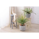 プランター カバー 鉢 円形 丸い ベース 容器 入れ物 装飾 飾り 鉢植え 観葉植物用 インテリアグリーン かっこいい おしゃれ 高級感 ガーデニング 園芸用品 【納期B】【azm-grnb-202】