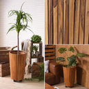 プランター キャスター付き 大型 観葉植物用 鉢 鉢植え 土台 天然木製 縦長 大きいサイズ ロング おしゃれ インテリア 屋内 室内 リビング 玄関 オフィス 店舗 【納期B】【azm-guy-814】