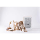 サイドテーブル リビングテーブル ローテーブル センターテーブル ソファサイド バスケット 収納 木製 天板 円形 丸型 サークル ラウンド アジアン カフェ風 【納期A】【azm-guy-821】