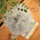 インテリアグリーン フェイクグリーン ボール 球体 丸型 観葉植物 リアル 装飾品 飾り インテリア 置き物 おしゃれ カントリー ナチュラル 【納期B】【azm-lfs-902】