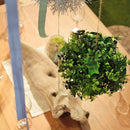 インテリアグリーン フェイクグリーン ボール 球体 丸型 観葉植物 リアル 装飾品 飾り インテリア 置き物 おしゃれ カントリー ナチュラル 【納期B】【azm-lfs-902】