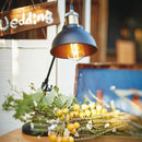 デスクライト 卓上照明 ランプ 角度調整 おしゃれ インテリア 【納期B】【azm-lht-737】