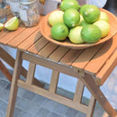 ガーデンテーブル サイドテーブル ミニ テーブル 折りたたみ 折畳み アウトドア キャンプ 庭 テラス ベランダ 屋上 屋外 おしゃれ ナチュラル カントリー 北欧 【納期B】【azm-nx-533】