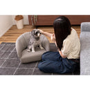 ペット用ソファ ペットチェア 椅子 シェル型 貝 イス 猫 ネコ 犬 イヌ ペット専用 ベット リビング 玄関 おしゃれ かわいい インテリア 布地 クッション 厚み 【納期B】【azm-pet-71】