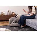 ペット用ソファ ペットチェア 椅子 シェル型 貝 イス 猫 ネコ 犬 イヌ ペット専用 ベット リビング 玄関 おしゃれ かわいい インテリア 布地 クッション 厚み 【納期B】【azm-pet-71】