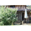 ガーデンパラソル 大型 庭 日よけ オーニング 角度調整 サンシェード 自立式 【納期A】【azm-rkc-529】