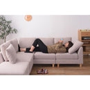 カウチソファ ソファー 3人掛け 3人以上 大型 ワイド 幅広 ダブルカウチ 北欧 オットマン付き クッション付き 脚取り外し ロータイプ 変更 おしゃれ 【納期A】【azm-ss-123】