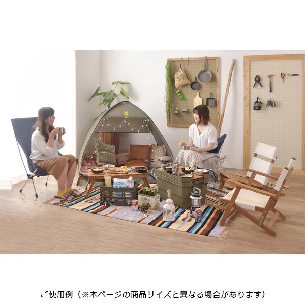 収納ボックス トランクカーゴ 収納ケース 衣類 ふた付き 蓋 座れる おしゃれ 道具箱 工具箱 ツールボックス ガレージ アウトドア キャンプ 釣り道具 日本製 【納期B】【azm-tc-50】