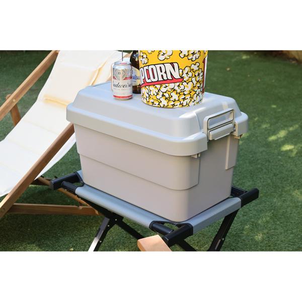 収納ボックス トランクカーゴ 収納ケース 衣類 ふた付き 蓋 座れる おしゃれ 道具箱 工具箱 ツールボックス ガレージ アウトドア キャンプ 釣り道具 日本製 【納期B】【azm-tc-50】