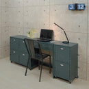 チェスト 2段 スチール 金属 ロッカー キャスター付き おしゃれ 【納期A】【azm-tpn-30gr】