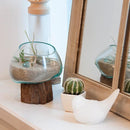 ガラスオブジェ インテリア 玄関飾り 水槽 おしゃれ 【納期B】【azm-ttz-311】