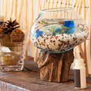 ガラスオブジェ インテリア 玄関飾り 水槽 おしゃれ 【納期B】【azm-ttz-311】