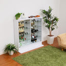 コレクションケース 薄型 コレクションラック ロータイプ 収納棚 ガラス 扉 壁面 フィギュアケース 人形 ローボード 白 ホワイト ダークブラウン 茶色 黒系 【納期A】【clr-900】