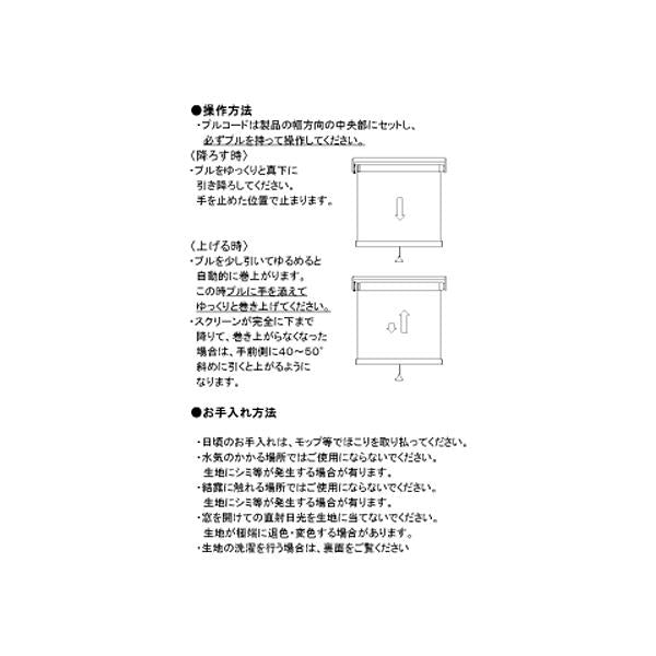 ロールスクリーン 横長 窓 ロールカーテン カーテンレール 取り付け おしゃれ 無地 モダン 安い キッチン 目隠し おすすめ タチカワ 正面付 天井 間仕切り 廊下 【納期C】【dik-0216】