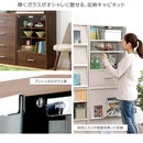 ガラス扉キャビネット 木目 扉付き 収納 【納期A】【ds60-dr】