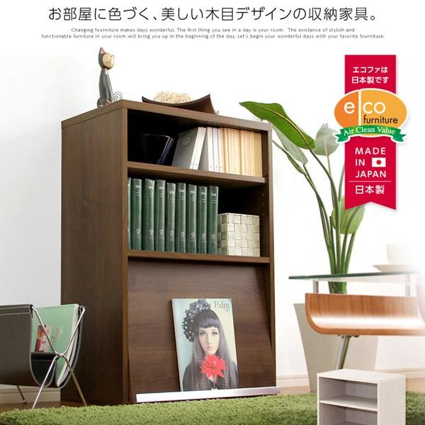 フラップチェスト リビング収納家具 コンパクト 棚 【納期E】【ds60-f1】
