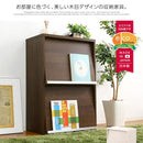 フラップ扉チェスト 収納家具 コンパクト 棚 リビング家具 【納期A】【ds60-f2】