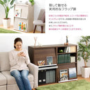 フラップ扉チェスト 収納家具 コンパクト 棚 リビング家具 【納期A】【ds60-f2】