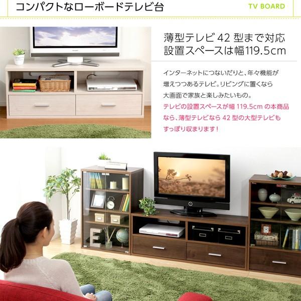 テレビ台 シンプル 収納スペース付き コンパクト 【納期E】【dsp-tv120】