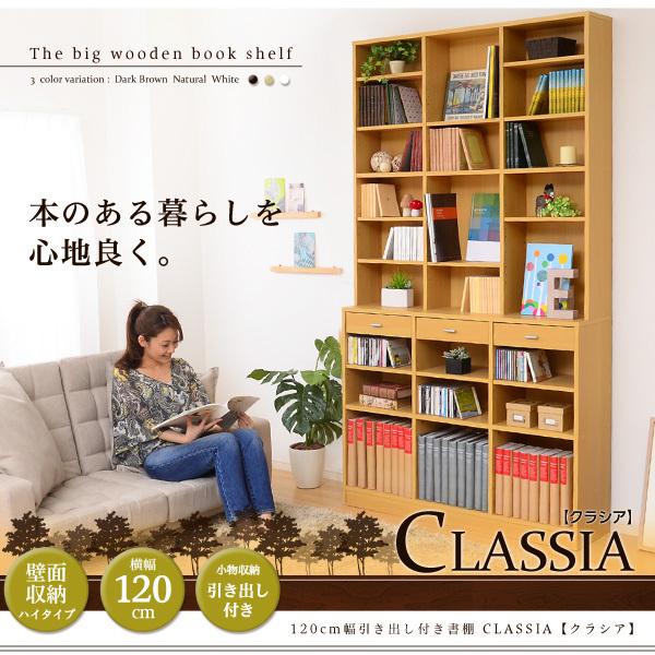 壁面収納 大容量 本棚 コミック収納 大きいサイズ 【納期A】【etd-120】