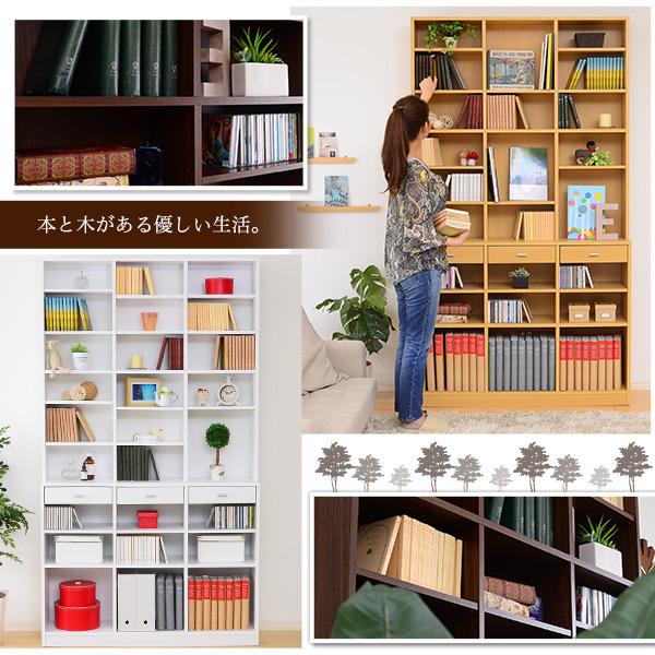 壁面収納 大容量 本棚 コミック収納 大きいサイズ 【納期A】【etd-120】
