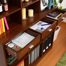 壁面収納 大容量 本棚 コミック収納 大きいサイズ 【納期A】【etd-120】