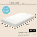 マットレス セミダブル ボンネルコイル 【納期E】【fm-06-sd】