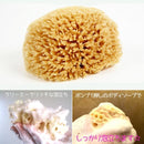 海綿スポンジ 海綿 スポンジ 乾燥肌 赤ちゃん エーゲ海産 天然海綿 天然素材 柔らかい やわらかい ボディブラシ 【納期A】【fmk-4970182025008】