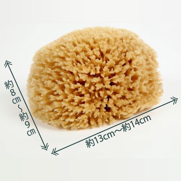エーゲ海で採れた天然素材で安心の海綿スポンジ