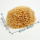 海綿スポンジ 海綿 スポンジ 乾燥肌 赤ちゃん エーゲ海産 天然海綿 天然素材 柔らかい やわらかい ボディブラシ 【納期A】【fmk-4970182025008】