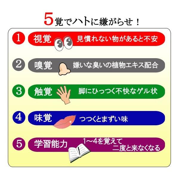 鳩よけグッズ ベランダ 最強 撃退 置くだけ 鳩避け対策 ハトよけ カラス 玄関 庭 家 戸建 マンション 糞 害鳥 逃げる 忌避剤 はとにげ～る 【納期A】【gto-805982】