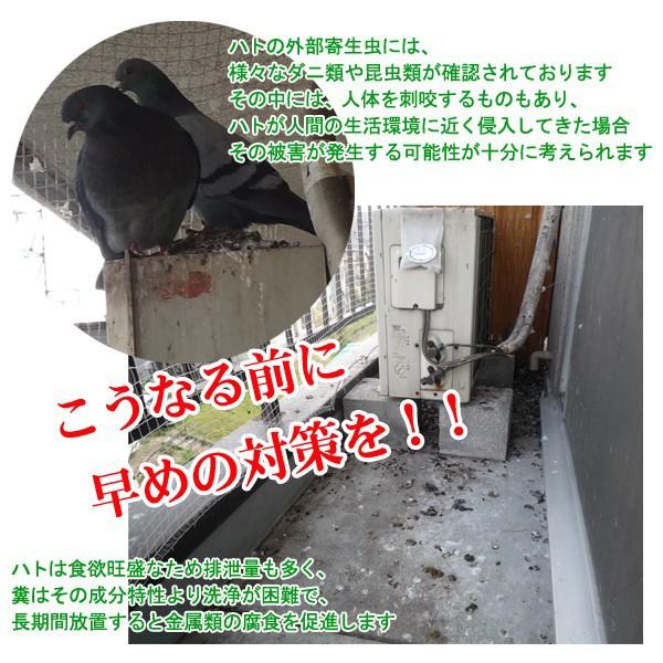 鳩よけグッズ ベランダ 最強 撃退 置くだけ 鳩避け対策 ハトよけ カラス 玄関 庭 家 戸建 マンション 糞 害鳥 逃げる 忌避剤 はとにげ～る 【納期A】【gto-805982】