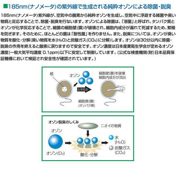 花粉症対策 除菌 空気清浄器 マイナスイオン タバコ臭 トイレ 脱臭 キッチン カビ対策 カビ防止 ワンルーム  新型インフルエンザ予防対策 オゾン 分解 【納期E】【gto-807503】