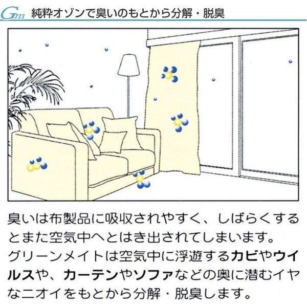 花粉症対策 除菌 空気清浄器 マイナスイオン タバコ臭 トイレ 脱臭 キッチン カビ対策 カビ防止 ワンルーム  新型インフルエンザ予防対策 オゾン 分解 【納期E】【gto-807503】