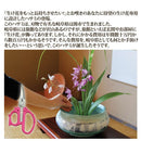 花切専用ハサミ 鋏 はさみ 花用 生け花 生花 活け花 日本製 枯れない 枯れにくい 茎 導管 つぶれない 使いやすい 園芸用品 ガーデニング 【納期A】【gto-808338】