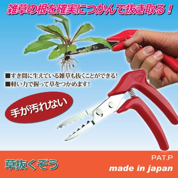 雑草取り 雑草 抜き取る 雑草取り機 雑草取り金具 庭 手入れ ガーデン 【納期A】【gto-808406】