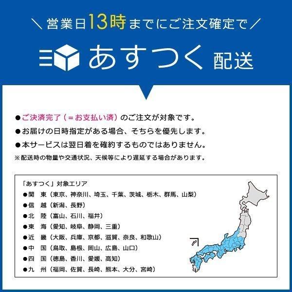 階段滑り止め シート 階段すべり止め 滑り止めシート 階段用 安心 安全対策 透明 クリア 半透明 目立たない 子供 事故防止 転倒防止 日本製 シール式 貼るだけ 【納期A】【gto-809106】