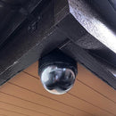 防犯カメラ ダミー 偽物 ドーム 小型 にせもの おもちゃ ドーム型防犯ダミーカメラ 監視カメラ 【納期A】【gto-809419】