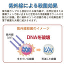 除菌 ウイルス 対策 予防 脱臭器 脱臭機 除菌 空気 カビ タバコ臭 ペット臭 トイレ臭 マイナスイオン 風邪 新型 インフルエンザ対策グッズ 【納期E】【gto-811308】