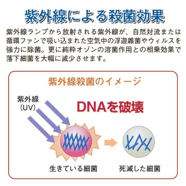 除菌 ウイルス 対策 予防 脱臭器 脱臭機 除菌 空気 カビ タバコ臭 ペット臭 トイレ臭 マイナスイオン 風邪 新型 インフルエンザ対策グッズ 【納期E】【gto-811308】