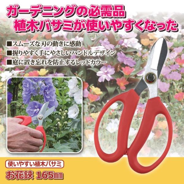 使いやすい植木バサミ（お花鋏）