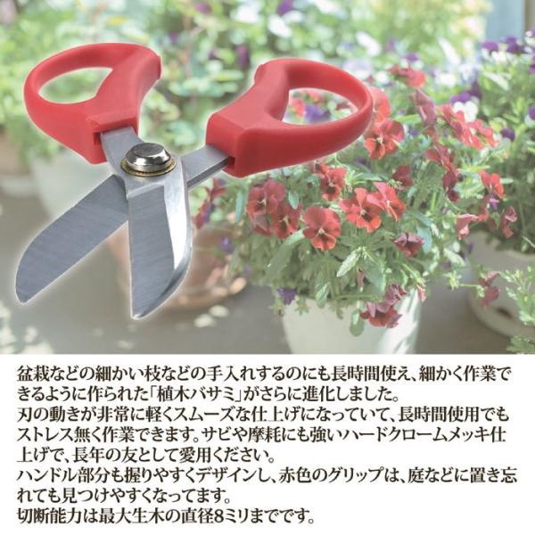 使いやすい植木バサミ（お花鋏）