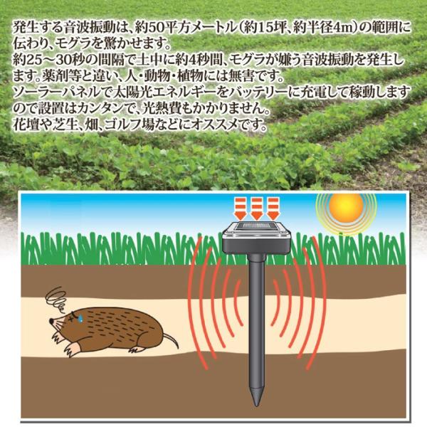 もぐら 撃退 退治 ソーラー 太陽光 音波振動 埋め込み式 【納期A】【gto-811873】