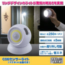 センサーライト 玄関 屋外 屋内 照明 人感センサー 明るい 生活防水 防犯 【納期A】【gto-812021】