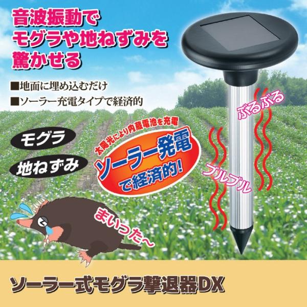 モグラ退治 モグラ駆除 対策 モグラ撃退器 ソーラー ゴルフ場 庭 ガーデニング 園芸 音波 振動 埋め込み 差し込み 人畜無害 花壇 畑 芝生 【納期A】【gto-812047】