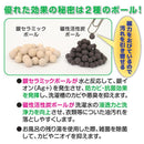 洗濯槽 抗菌 除菌 消臭 洗濯機用 洗浄ボール 銀イオン 防カビ カビ防止 臭い 悪臭 抑制 丸洗い 活性炭 油汚れ 日本製 効果 長期間 長持ち 【納期A】【gto-8702641】