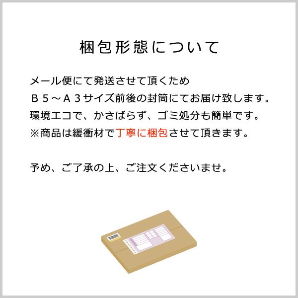 洗濯槽 抗菌 除菌 消臭 洗濯機用 洗浄ボール 防カビ 防止 日本製