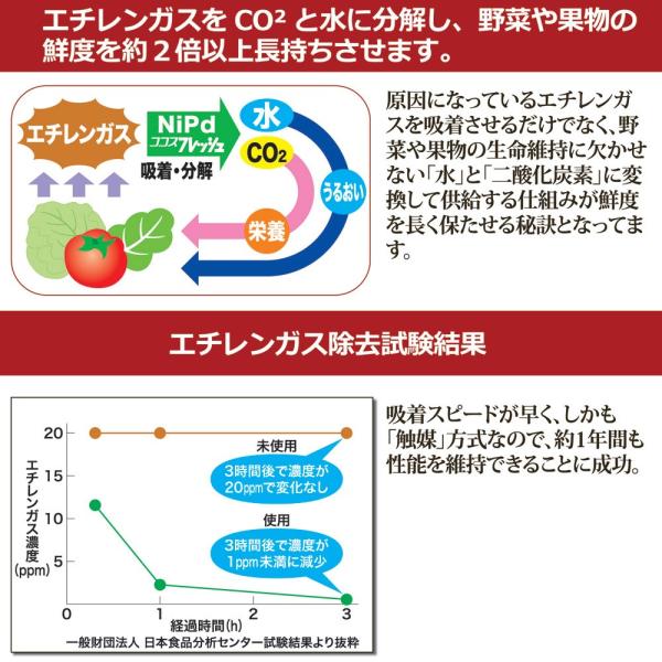 鮮度保持 野菜 花 果物 フルーツ 冷蔵庫 保冷庫 エチレンガス 吸収 除去 トマト たまねぎ ニンジン 肉 りんご ほうれん草 みかん もやし 【納期A】【gto-870323】